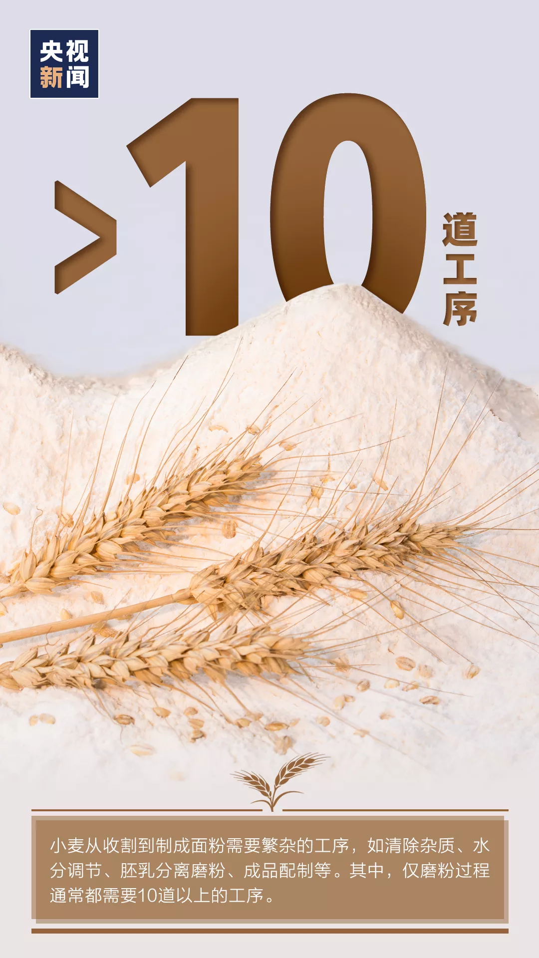 特別不容易！豐收背后的艱辛，你可能從未了解