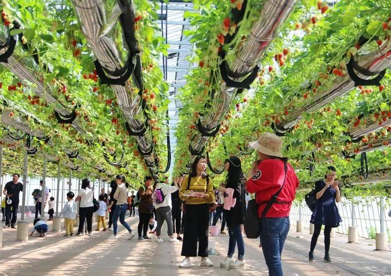你想要的未来，在尹家峪！中国迈入田园3.0时代