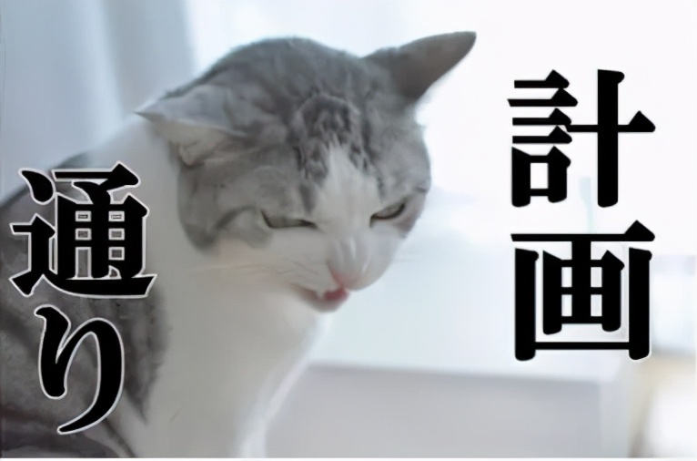川普最后一个月拼了！为保命赦免自己，妻子却当场“叛变”？