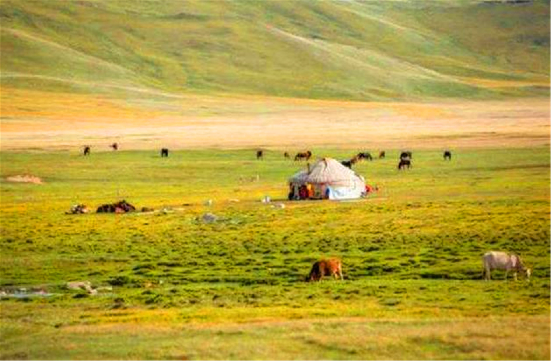 蒙古国到底发生了什么？280万民众求中国出手，