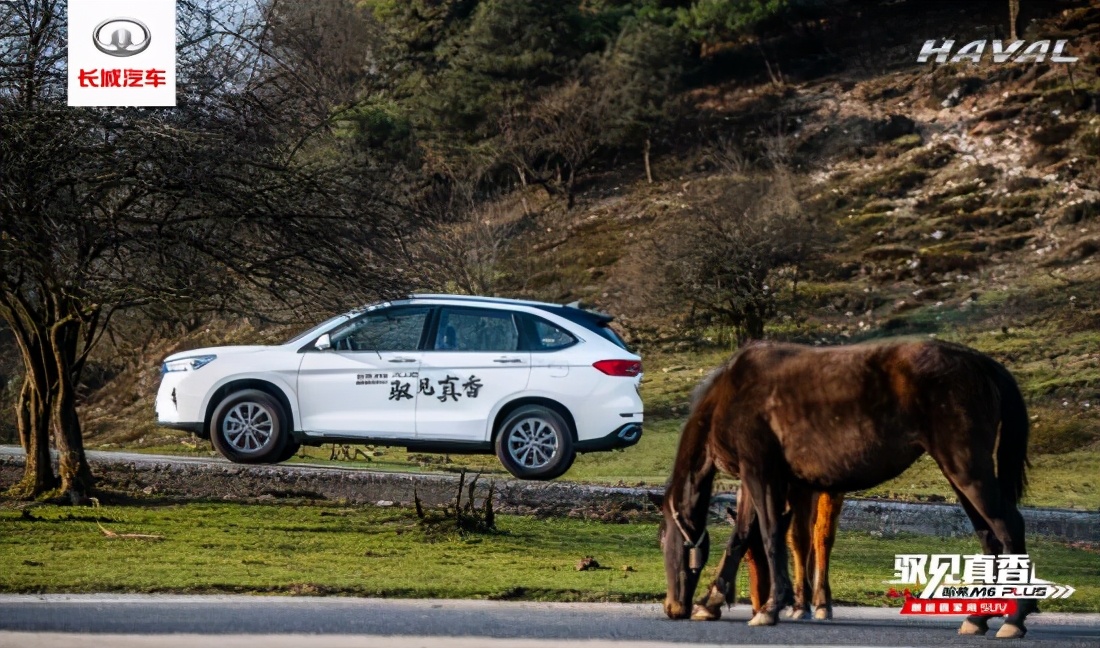 探寻仙女山秘境，哈弗M6 PLUS驭见真香之旅悠享山城