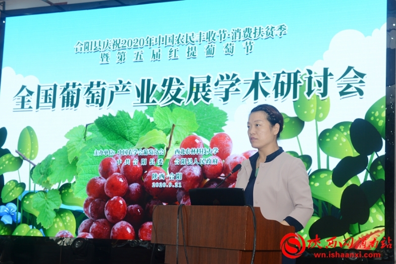 2020年全國葡萄產(chǎn)業(yè)發(fā)展學(xué)術(shù)研討會在合陽舉辦(組圖)