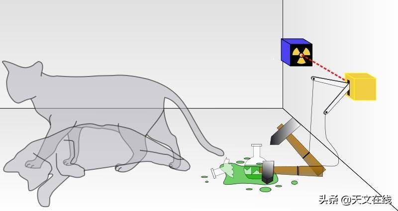薛定谔的猫-量子力学中最受欢迎、被误解的宠物
