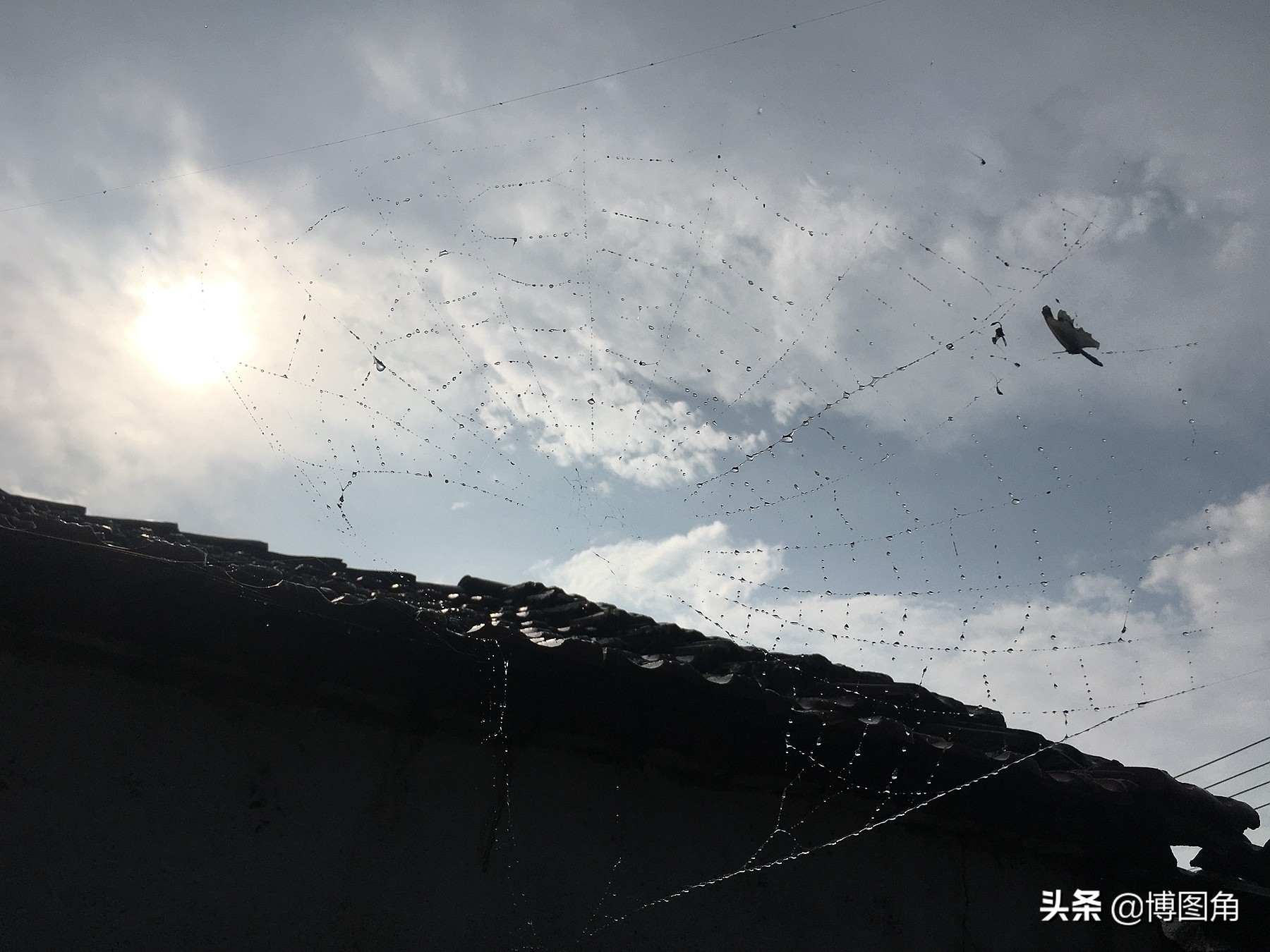 " my countryside I civilian " my 2020 | In the mobile phone video in August, from Qin Huang the island returns