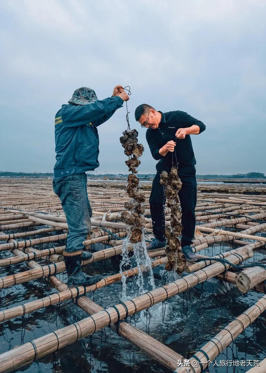 刚过完清明，这个省区又要放假了！全国人民都羡慕这里了