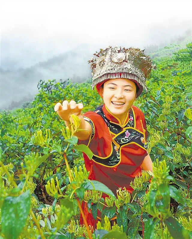重庆七大特色产业解析：年产值均超百亿，已成为地区经济支柱