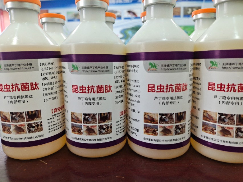 养苍蝇变废为宝，苍蝇养殖有什么优势？