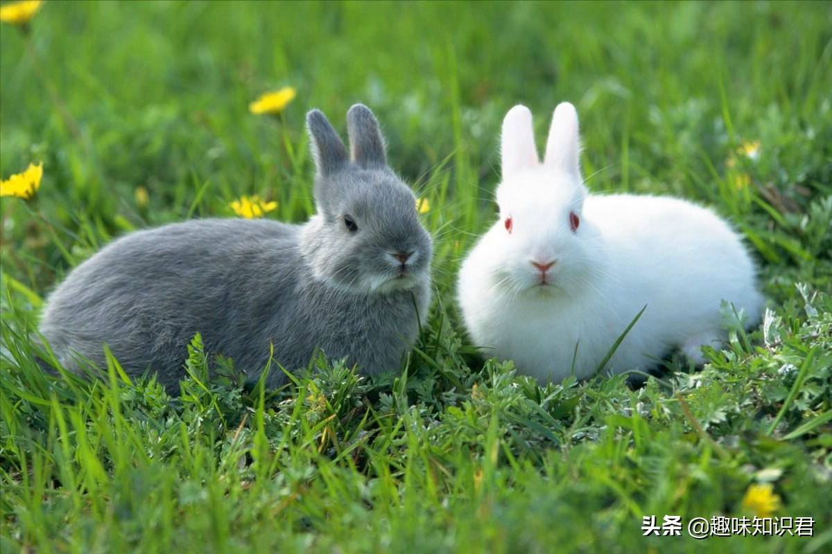 生活中有趣的冷星空体育官网入口网站，跟著我一起漲星空体育官网入口网站吧