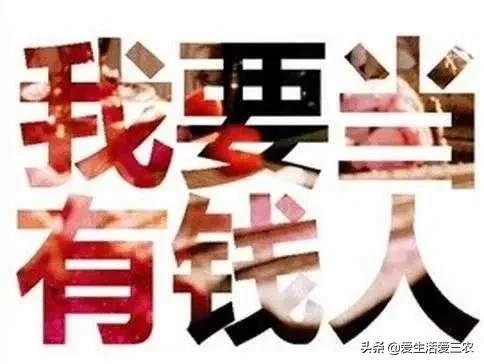 新手想养殖创业，没技术、没本钱，适合养殖什么？