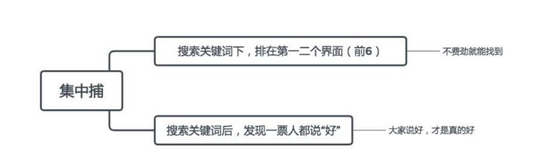 小红书平台的投放策略及案例分析