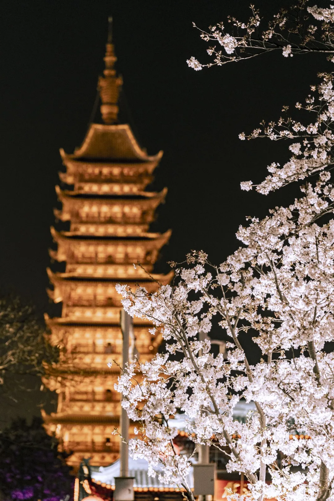 “虞歌畅晚”·2021樱花季暨方塔夜秀启幕 “虞歌畅晚”·2021樱花季暨方塔夜秀启幕