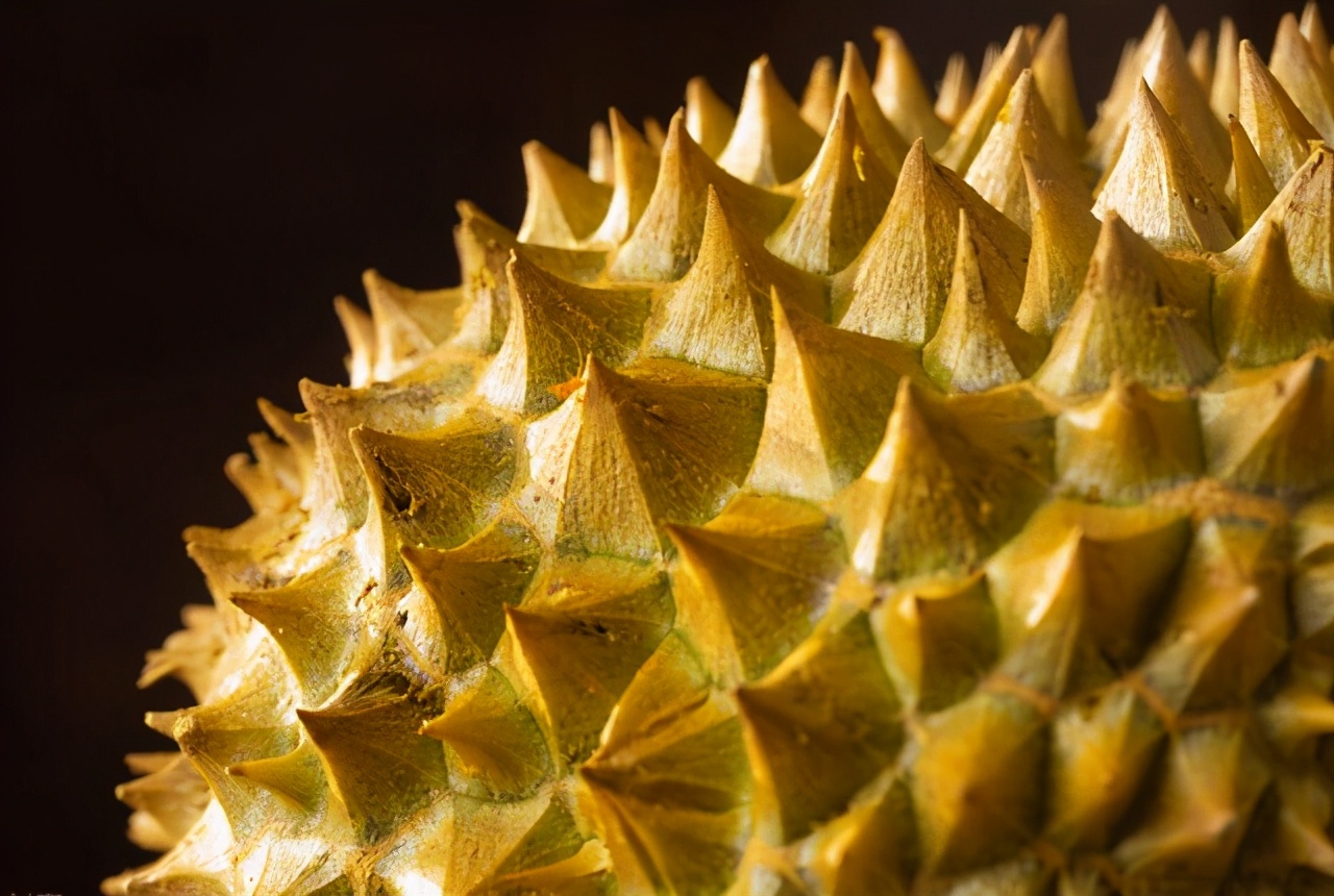 買榴蓮就挑“母”的，皮薄肉厚，牢記4個小技巧，老闆看你是內行