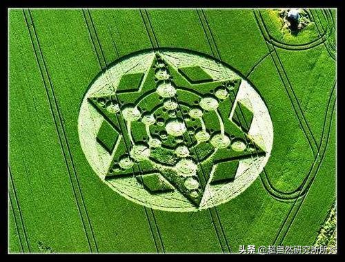 麥田怪圈竟然是假的？究竟是人為還是某種未知的傑作？