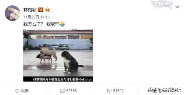 互怼界的战斗机林更新:和黑粉撕到凌晨五点,也是拼了
