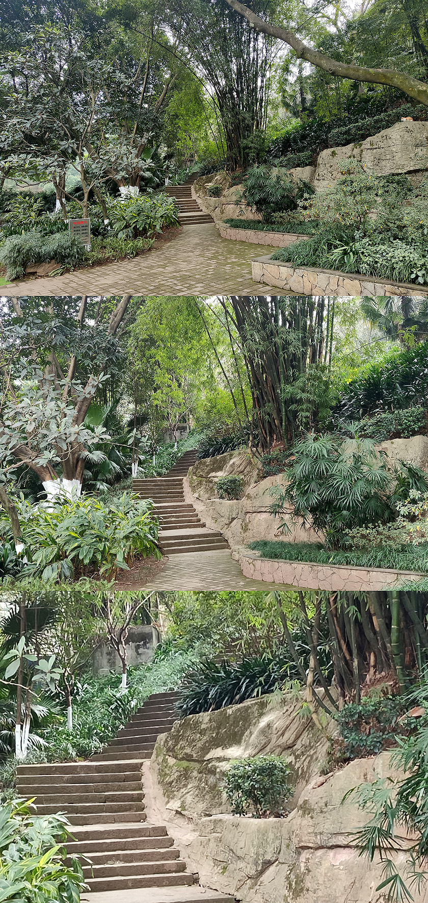 OPPO Reno5 Pro+手机随拍，IMX766表现不俗