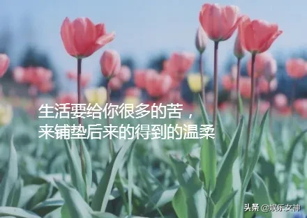 人生，哪能事事如意，生活，哪能样样顺心，早安