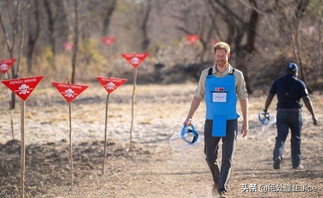 哈里向戴安娜支持的慈善机构传递最真挚情感，