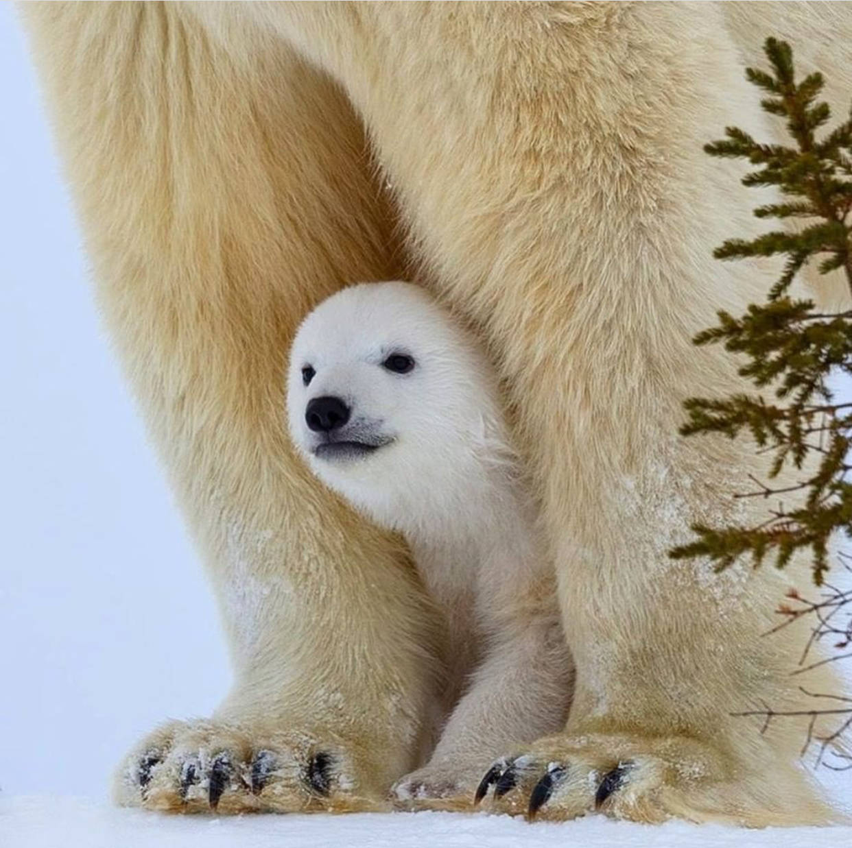 從這些照片裏，感受到了生命的溫度