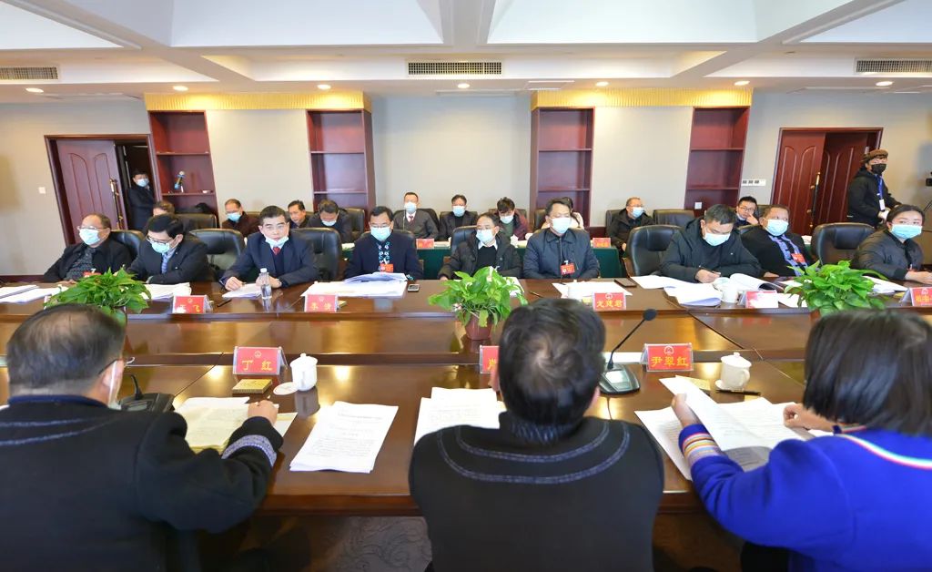 【图片新闻】市五届人大五次会议各代表团举行分组讨论