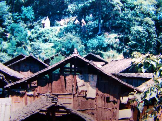 贵州采风：走进镇远报京乡侗家大寨（图）