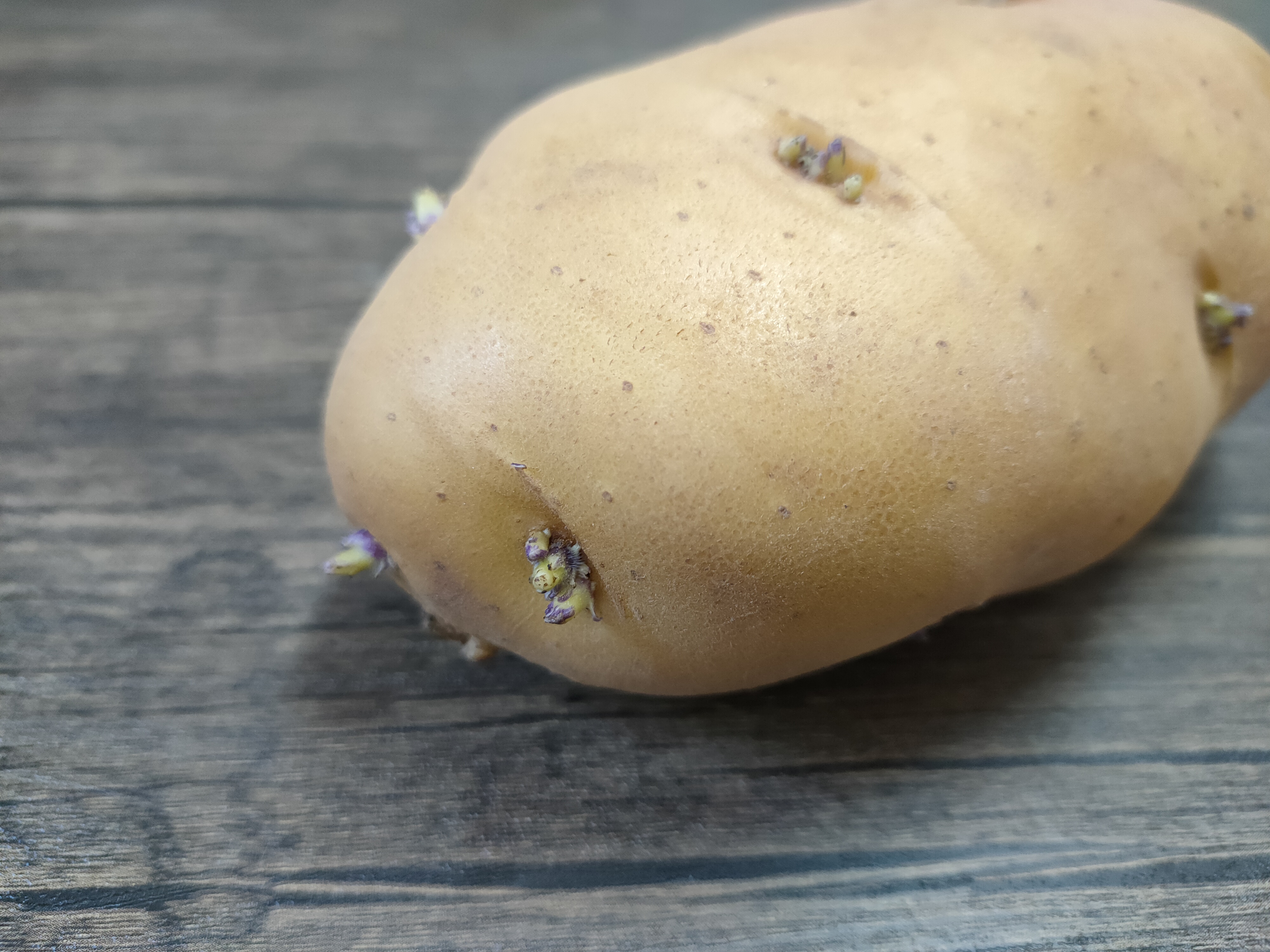 保存土豆有妙招，牢记“1放2不放”，土豆不长芽，半年也鲜美
