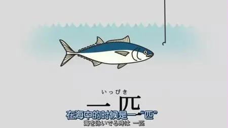 杭州日语学习培训，日语中那些令人疑惑的数量词用法