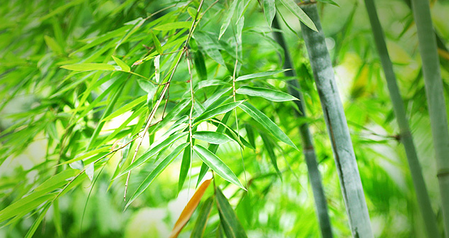 炎炎盛夏，想要送你十二首清凉的诗给你-第10张图片-非凡网
