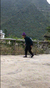 搞笑动图:这妹子实在太有趣了图片
