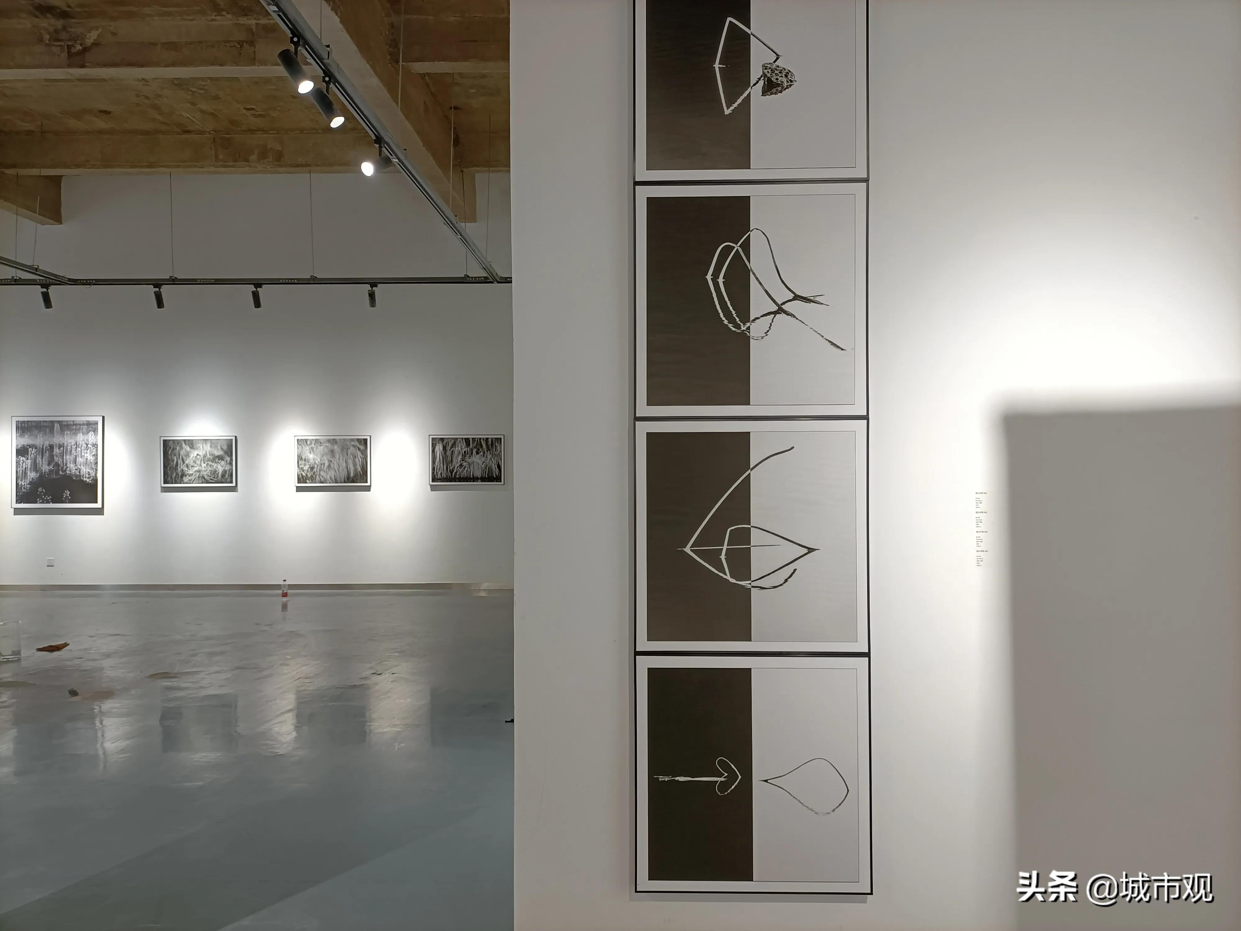 大展黔图《一轮·素念禅心》黄驿伦摄影作品在贵州师大美术馆展出