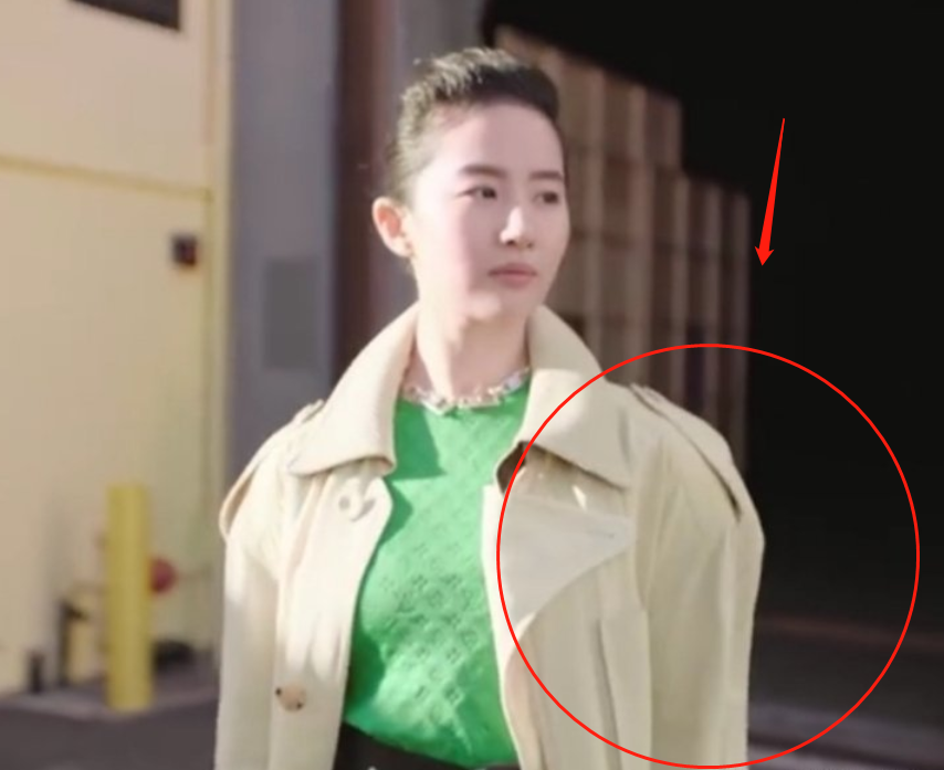 Liu Yifei is pointed to grow stout, heat up search by 2 dimension are big however, can " fat " into such who is willing