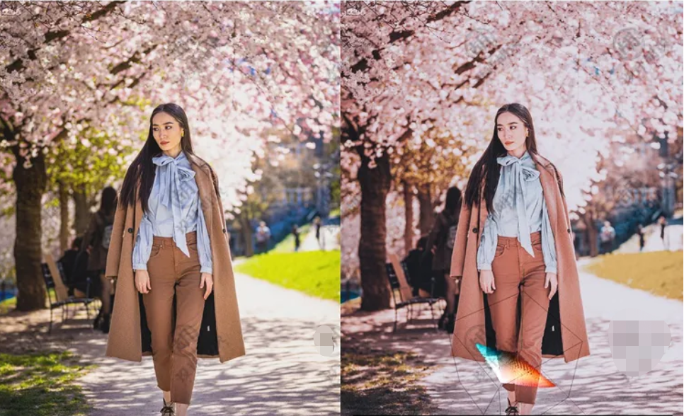 2020高级预设：外拍杜鹃花海人像LR预设+移动LR预