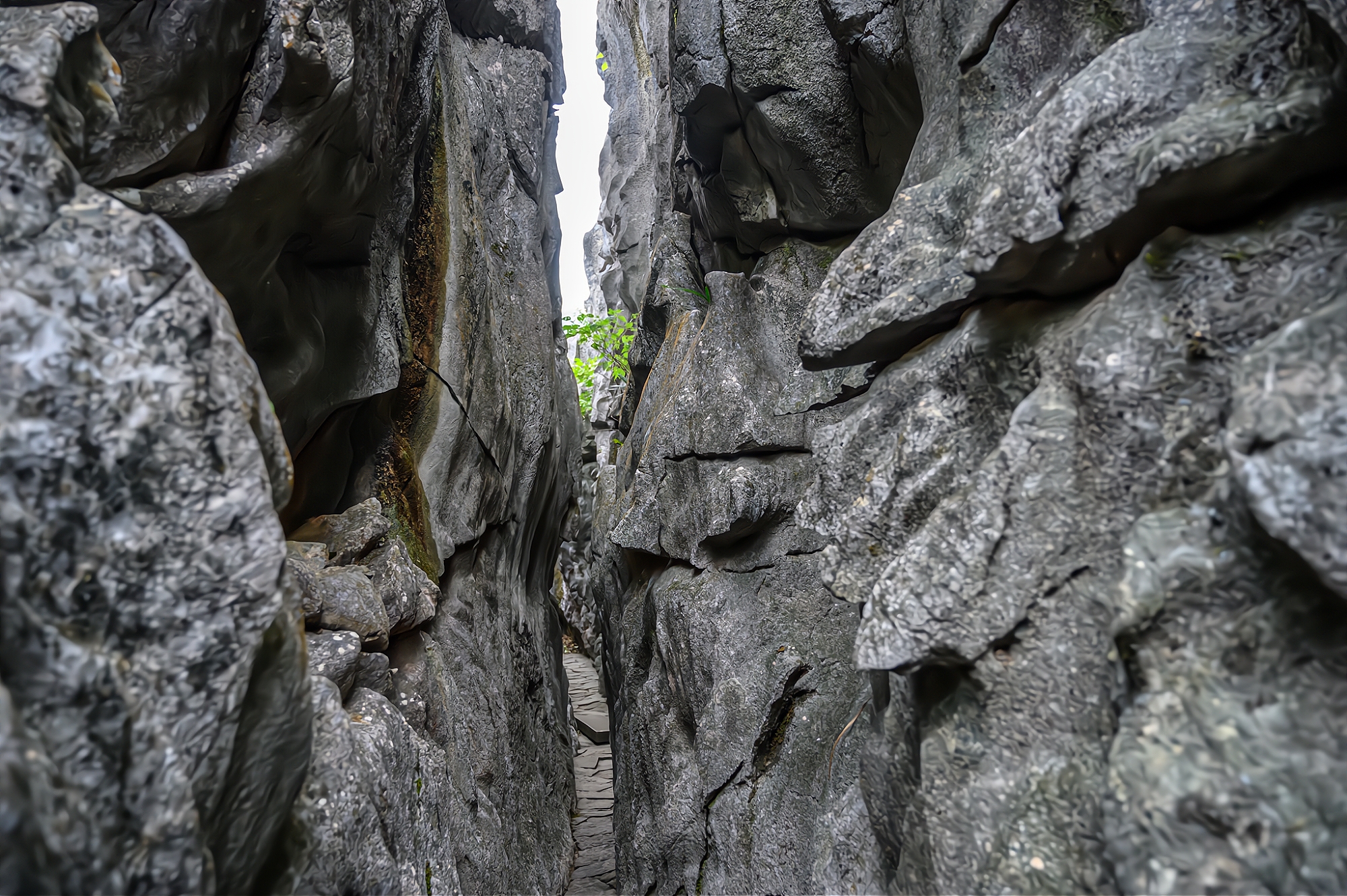 It is one of the four largest stone forests in China. It is as famous as the Yunnan Stone Forest and is known as "the first stone forest in East China"