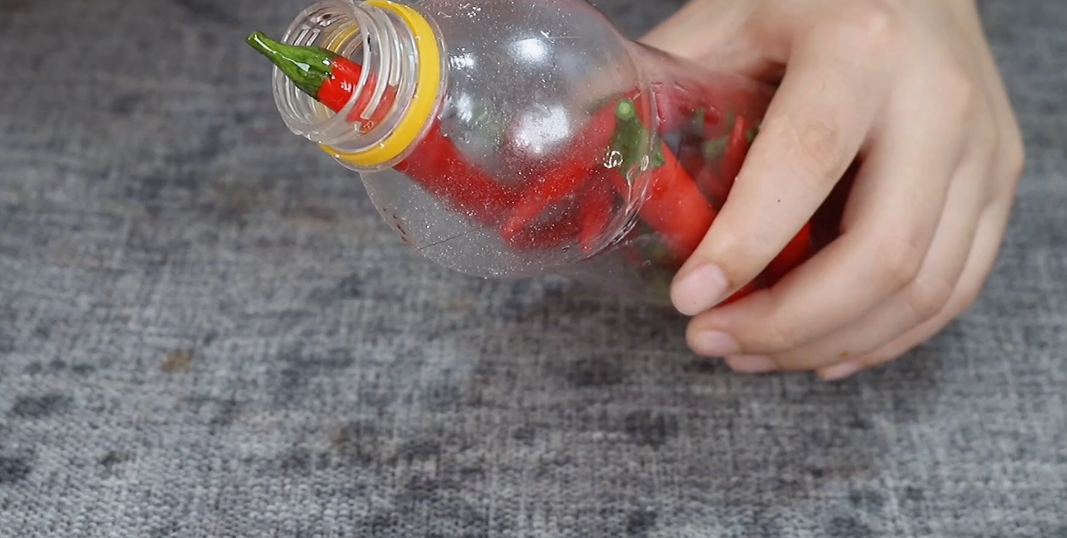 趁小米椒便宜，教你2个保存妙招，放一年不坏，实用又划算