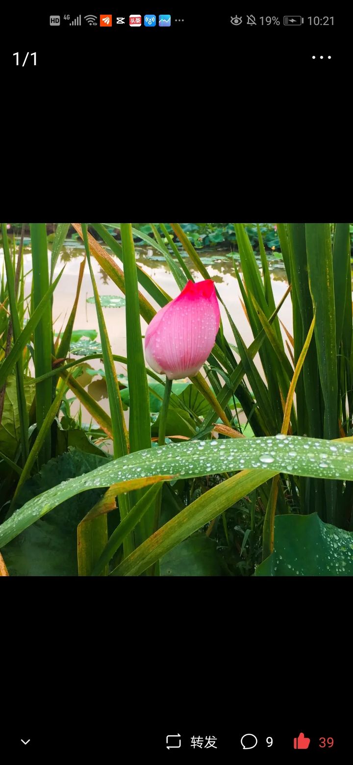 个人自媒体如何走出困境？从哲学的角度思考