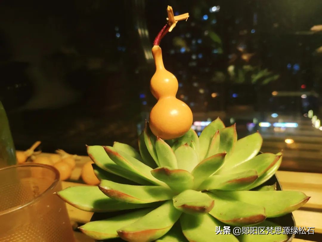 好串不仅是别人的，也会是你的