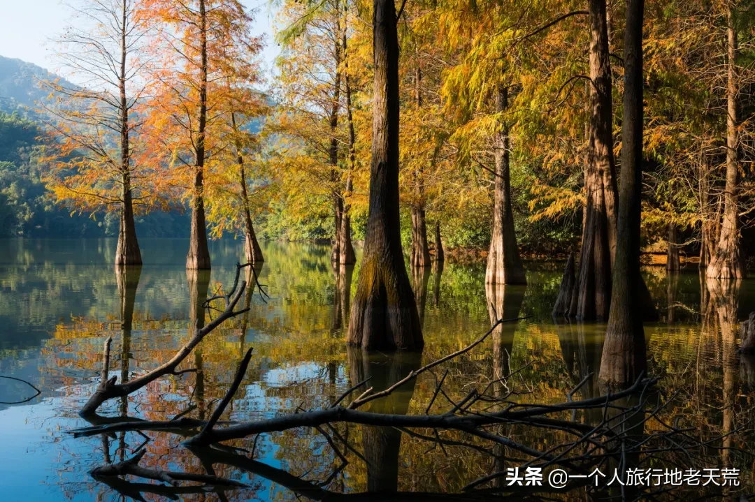广东旅游热度NO.1的地方，一到10月，美成世外桃源