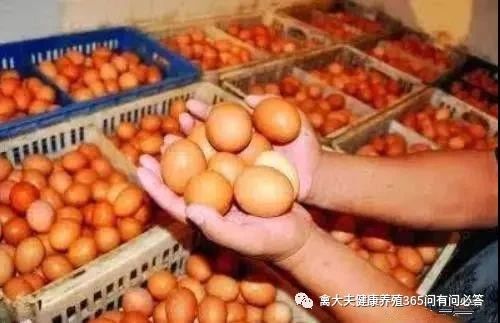 鸡蛋卖出“白菜价”，为什么跌这么狠？