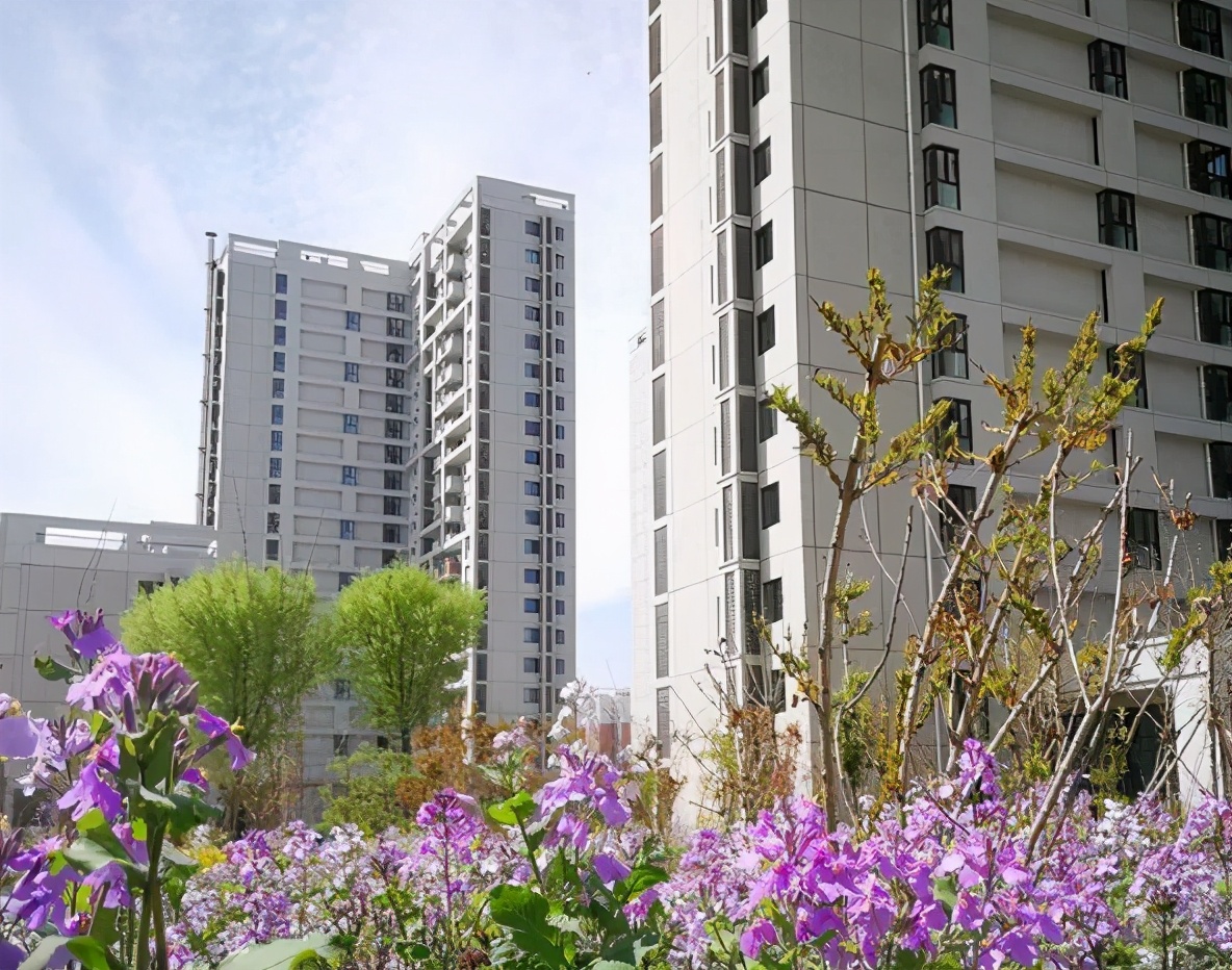 租房子一定要注意，特别是这4类房子不要租，你被“坑”过吗？