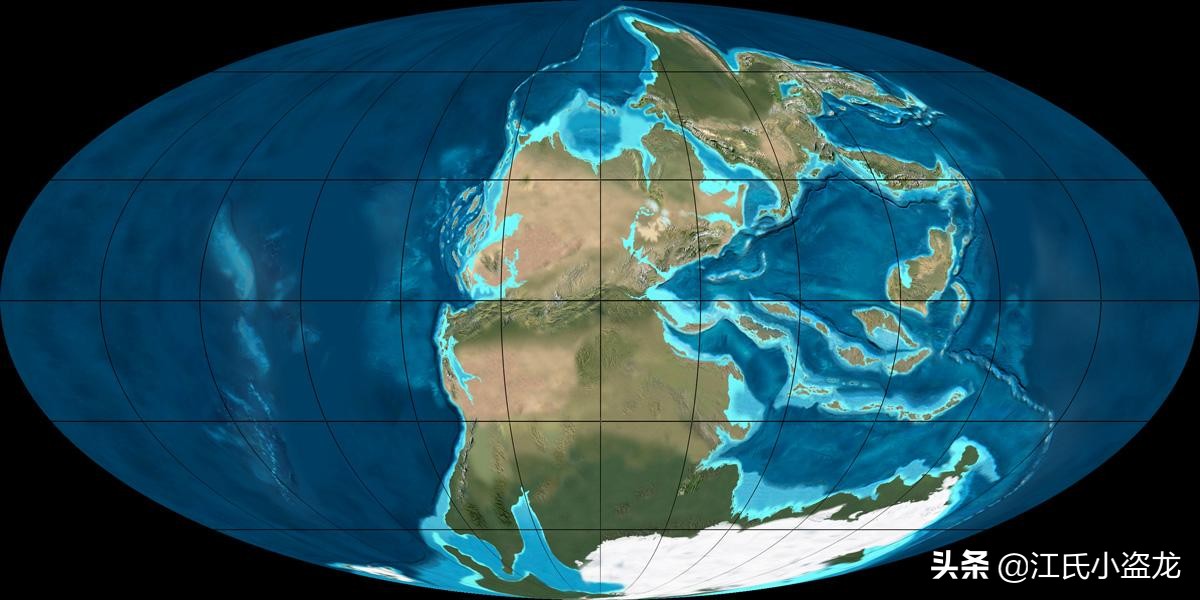 2.4億年前的一條魚為什麽上了熱門？