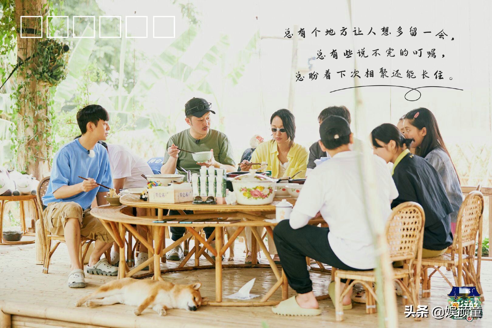 《向往的生活》暴露嘉宾字体，张婧仪工整，陶