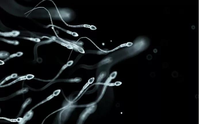 25年後 人類或許不能生育！