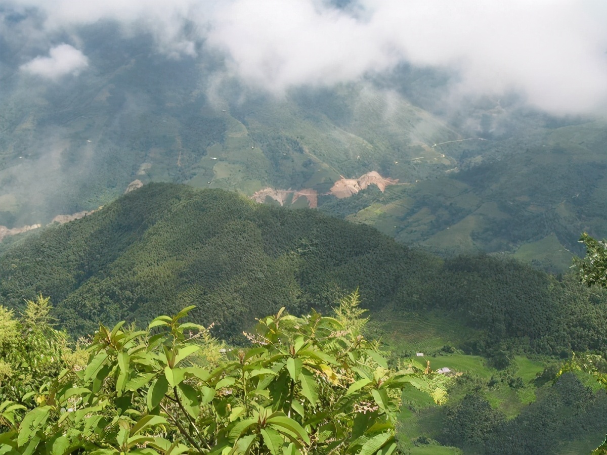 ��ɽս��Ψһ�������й����٣���Խ�Ϲ�Ѻ6�꣬�ع���ʣ37����