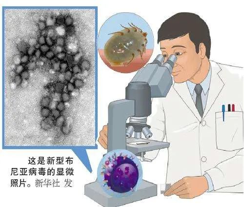 最近高发！新型病毒导致高热、出血，危重症死亡率高达70%！已有人中招！