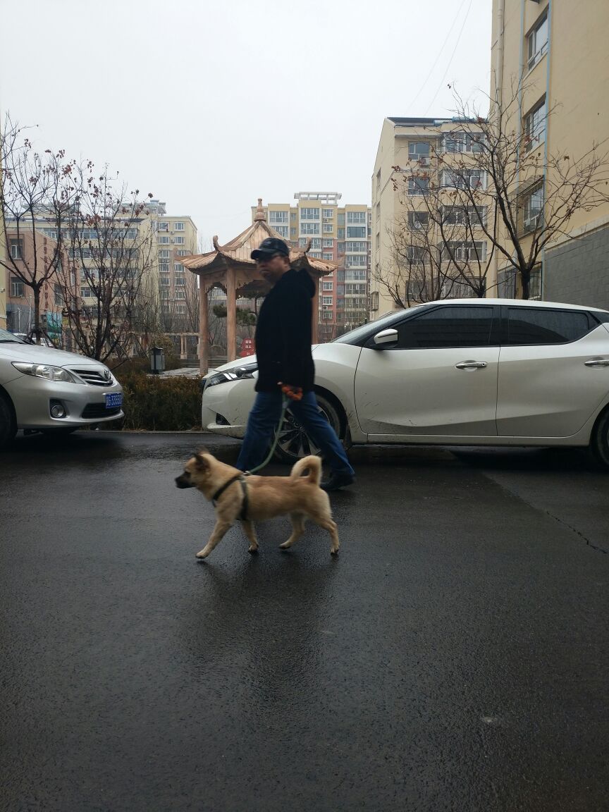 正月十七 張家口山城迎來了第一場春雨 宏發便民超市梅 Mdeditor