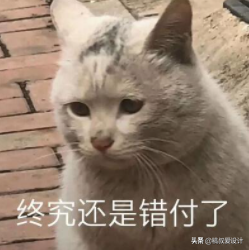 如果你是即将工作的应届生，这些建议请收好