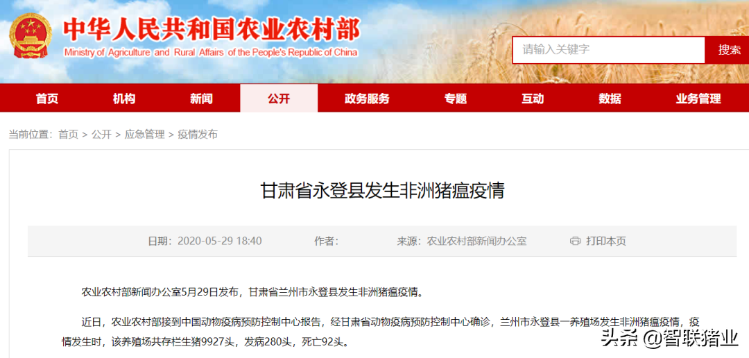 又一起非瘟！两场瘟疫！全球缺猪3亿头