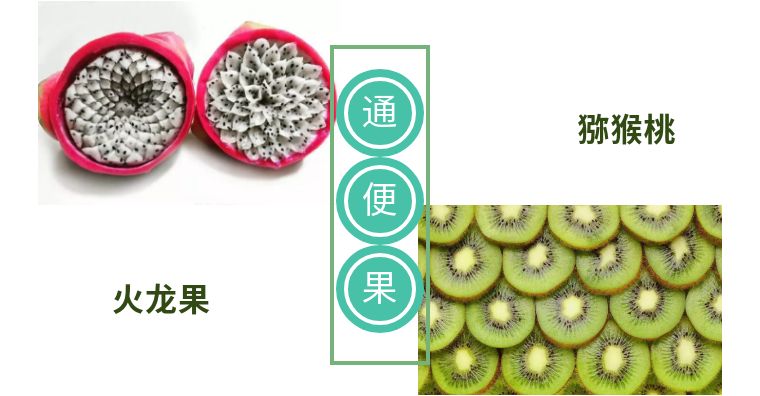 你今天大便了吗？