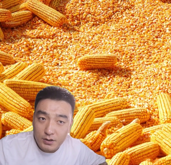 为什么说广西玉米是国人的痛？网友：当年我们