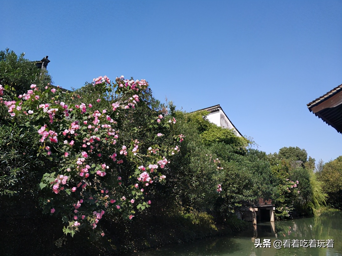 A day trip to Wuzhen and Xinshi ancient towns