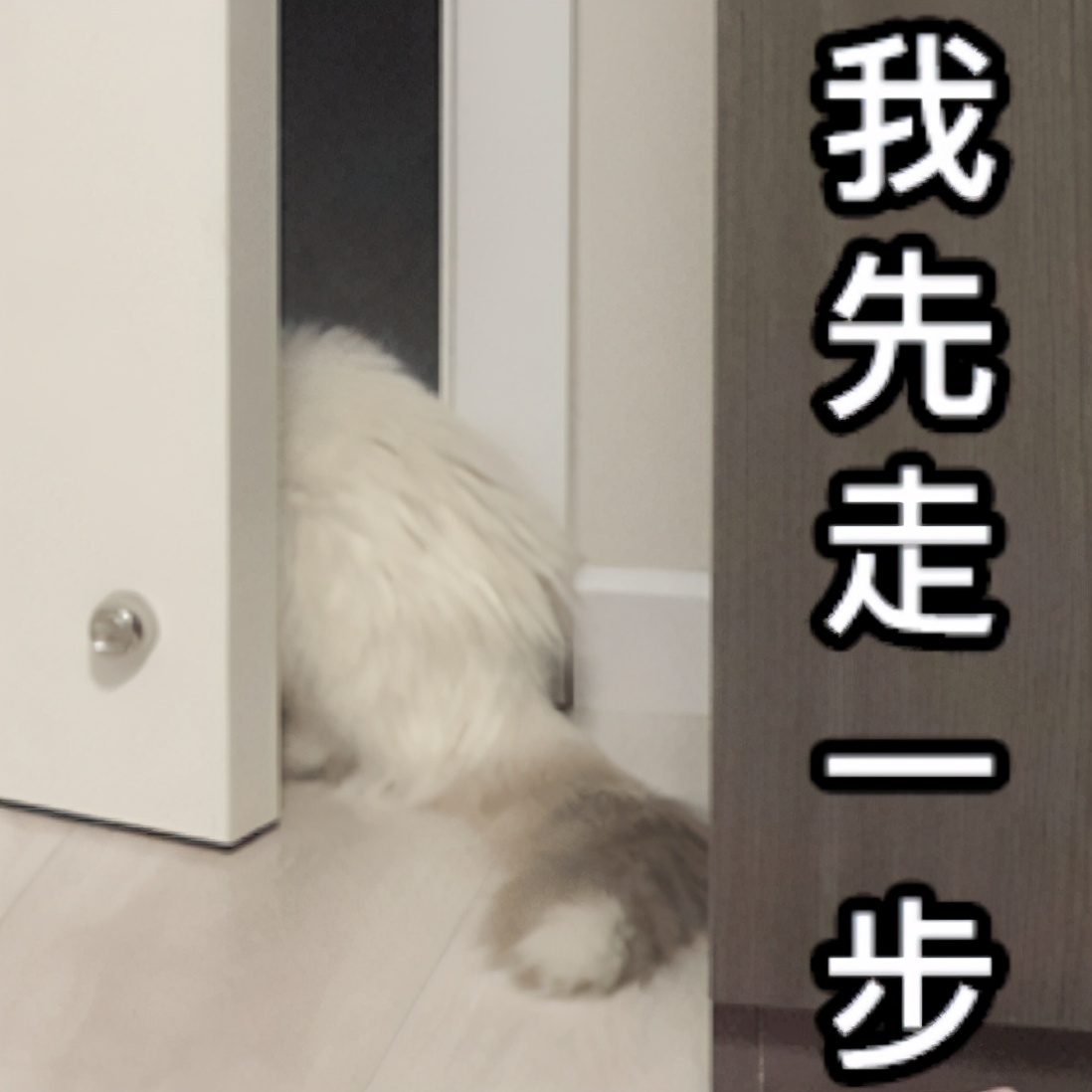 他心怀愧疚，借钱赔付了医药费，没想到…